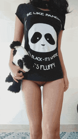Gif - The Hottest Panda