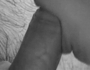 Gif - Dicklick Cock Adore