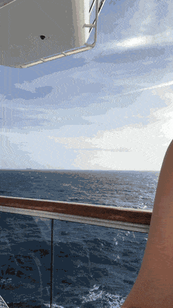 Gif - On A Boat