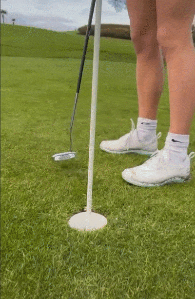 Gif - The Best Golf Teacher You Will Ever Have